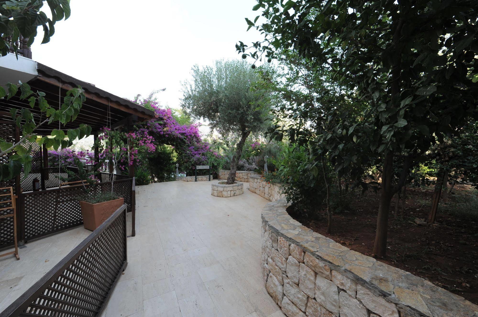 Club Hotel Barbarossa Kaş Exterior foto