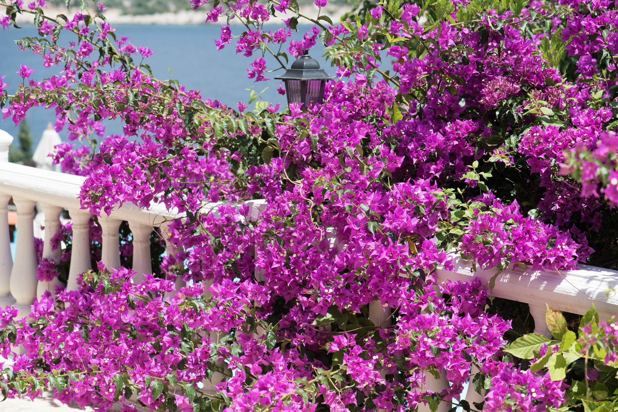 Club Hotel Barbarossa Kaş Exterior foto
